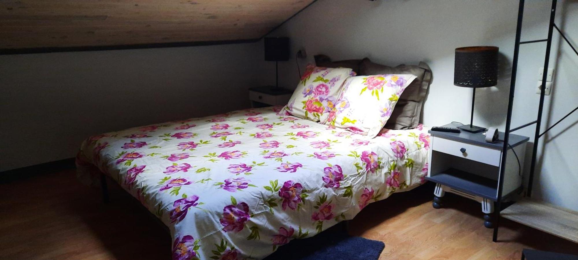 Bienvenue Chez Vous Apartment Le Puy-en-Velay Exterior photo